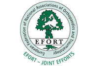 Efort logo